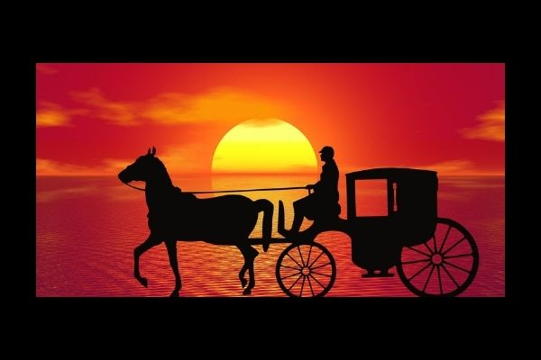 Cart Before the Horse