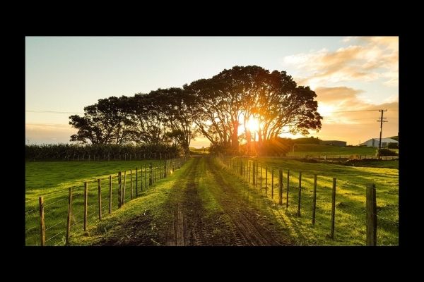 Walking our Farm/Powerful Antidote?